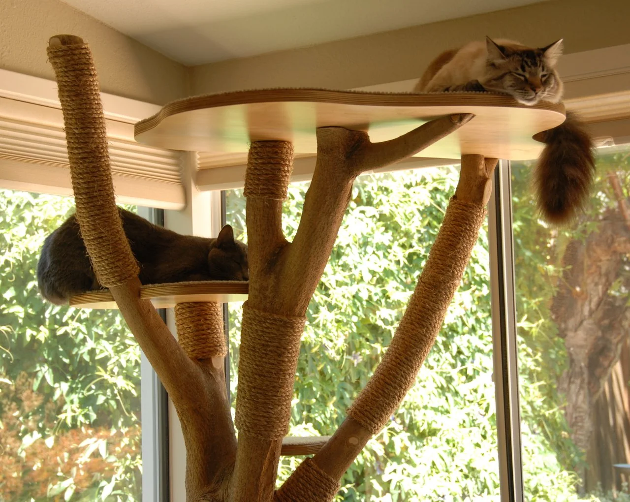 Cat Tree