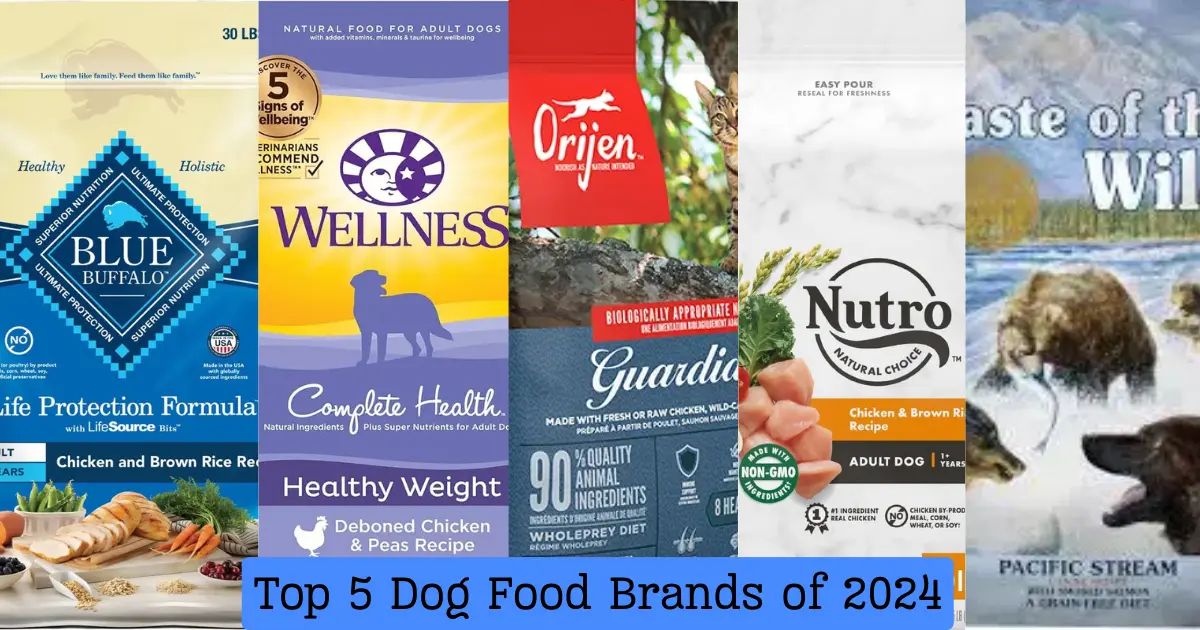 Top 5 Dog Food Brands of 2024