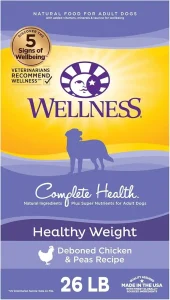 Wellness Pet Food