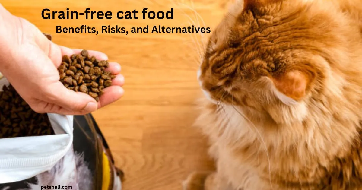 Grain-free cat food