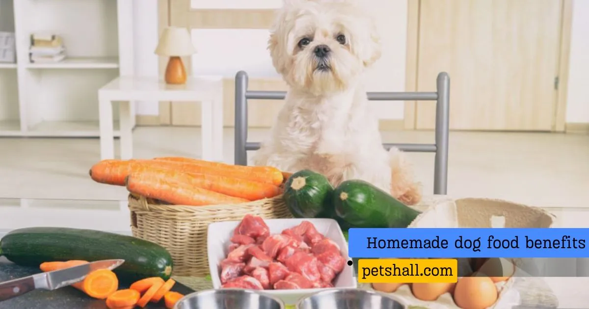 Homemade Dog Food Recipes