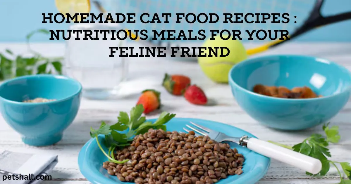 Homemade Cat Food Recipes