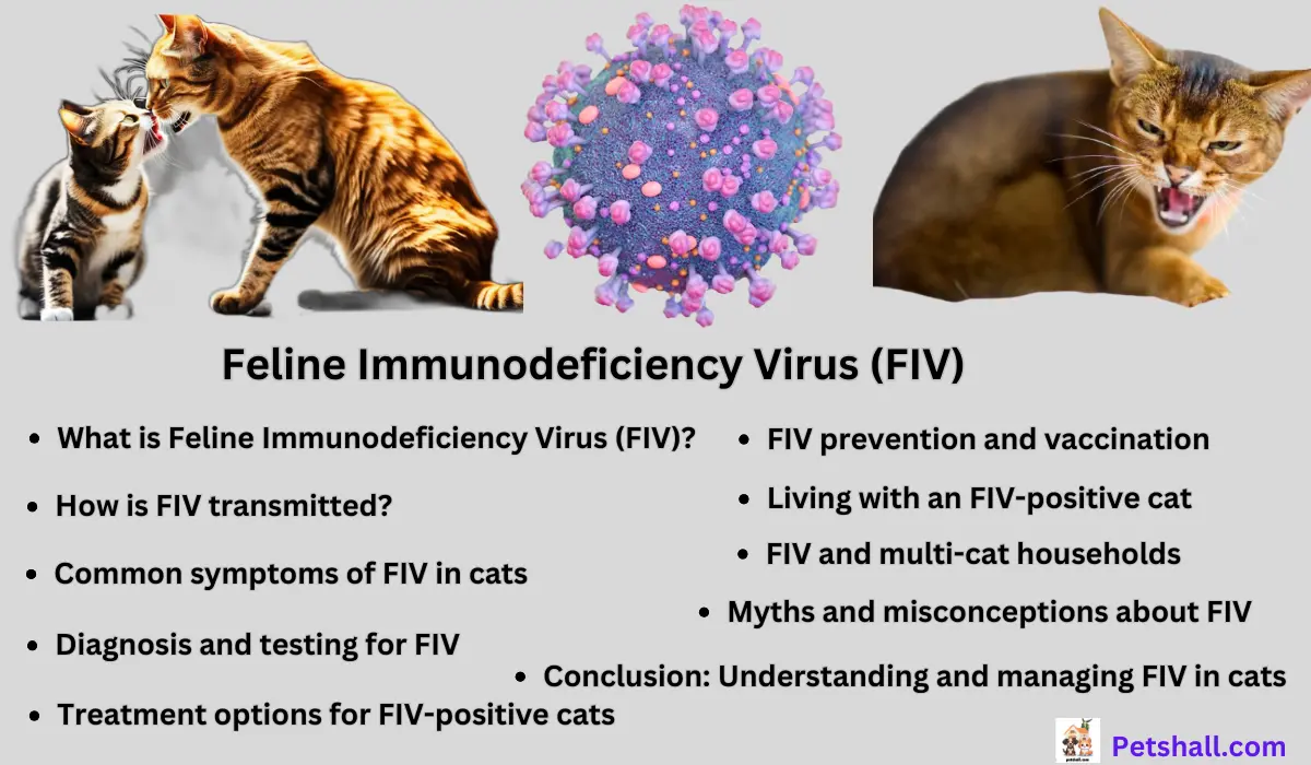 Feline Immunodeficiency Virus (FIV)