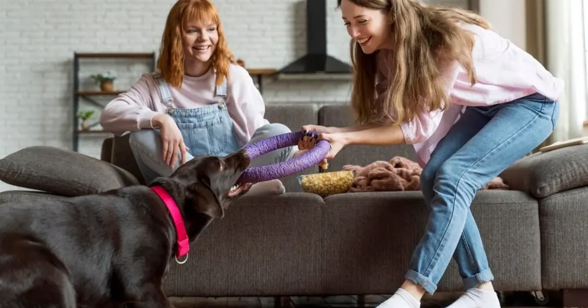 House Training Your Puppy