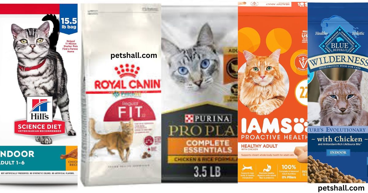 Best vet recommended cat food