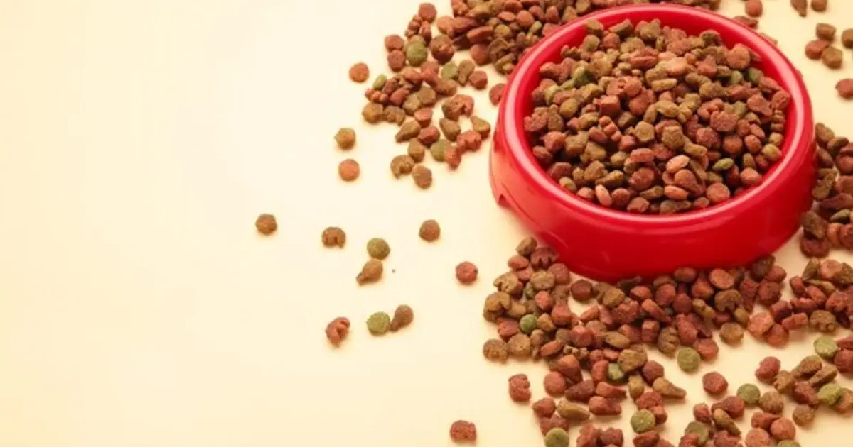 grain free cat food