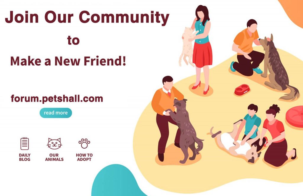 Pets Hall Forum