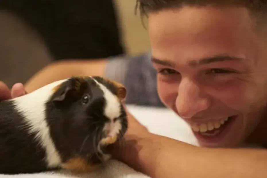 Bonding with Your Guinea Pig