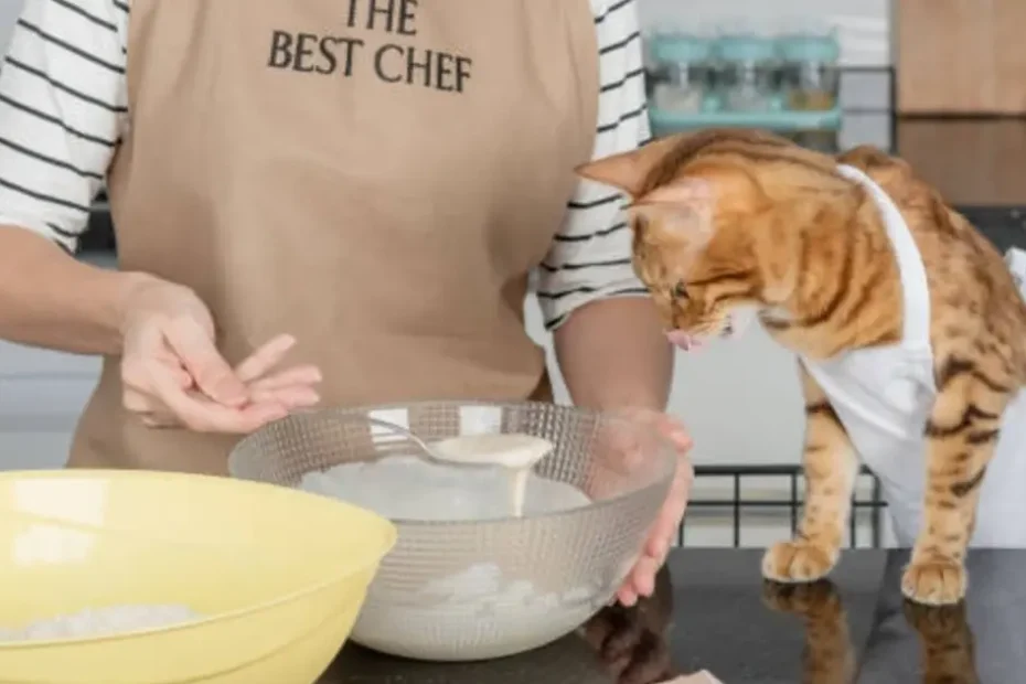 How to Make Cat Food