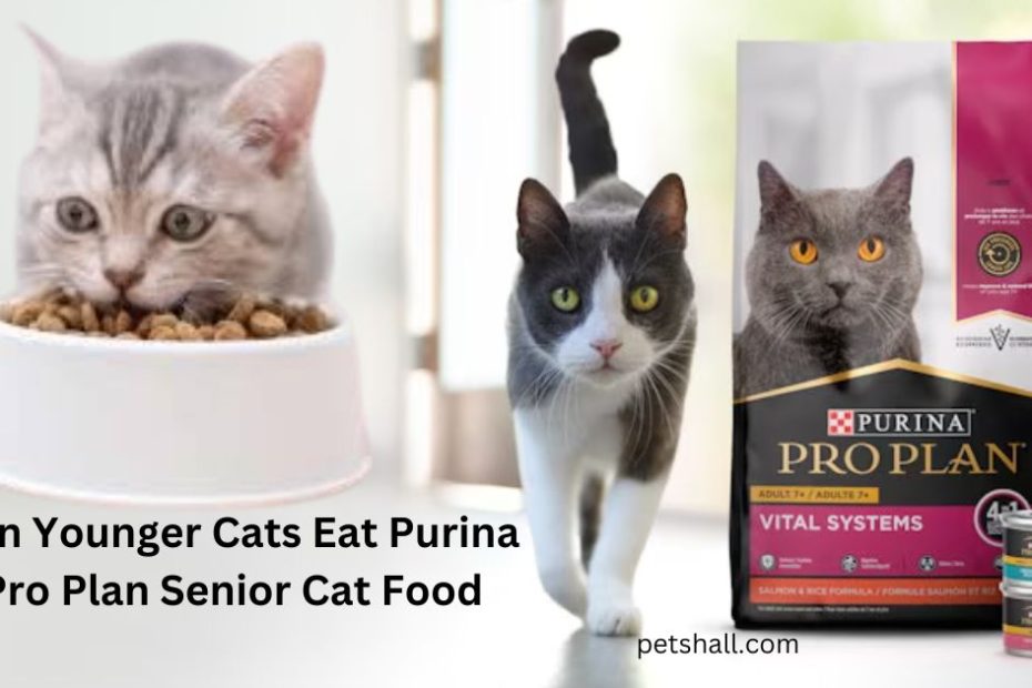 Can Younger Cats Eat Purina Pro Plan Senior Cat Food