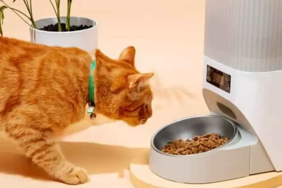 Grain Free Cat Food