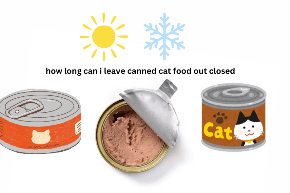 how long can i leave canned cat food out closed