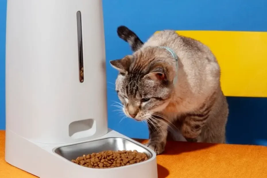 Best Dry Cat Food For Indoor Cats